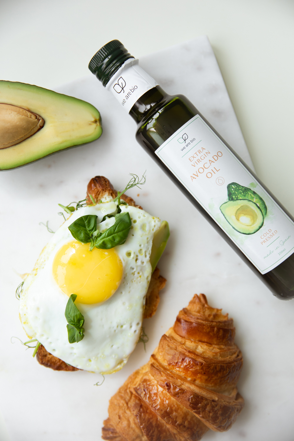 An Andalusian olive grove in the first grey light, before the harvest begins