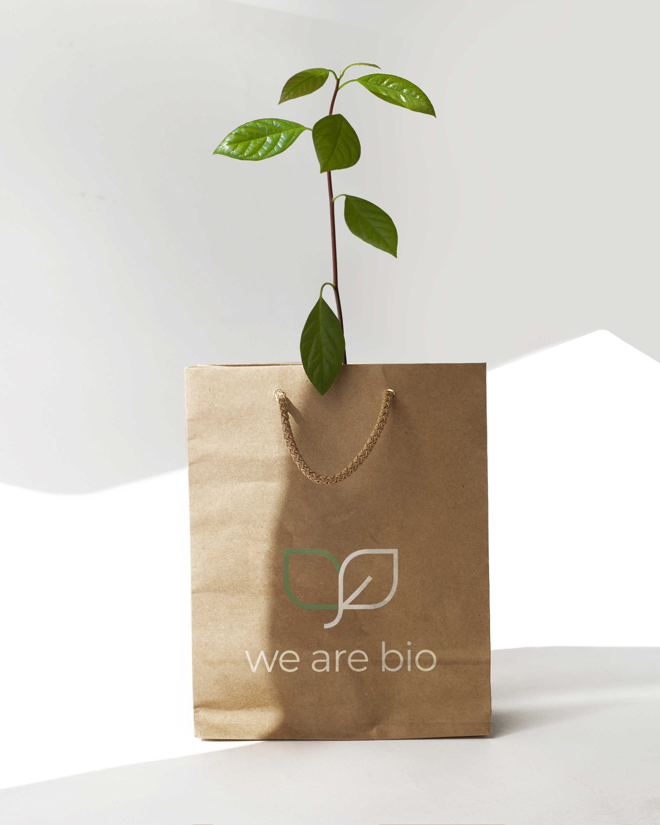 A We Are Bio kraft paper bag with a sprouting avocado